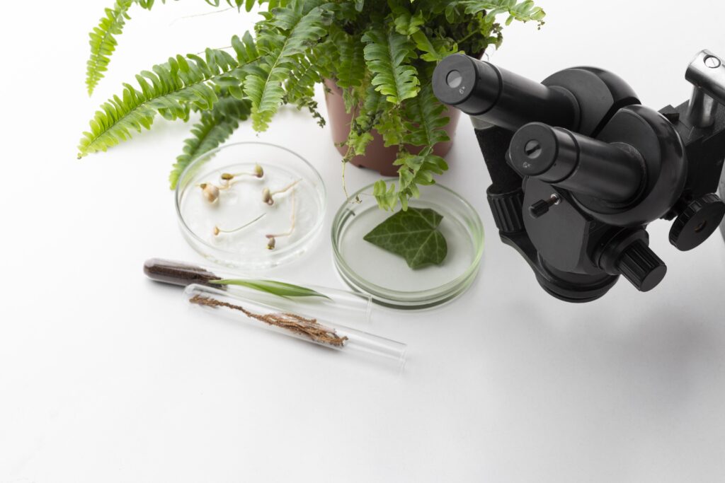 high angle plants microscope