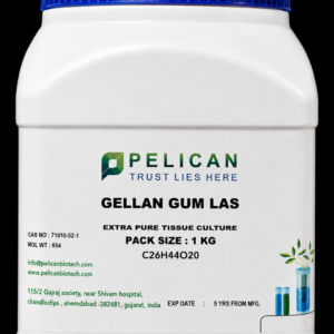 chatgpt image aug 17, 2026, 03 30 35 pm